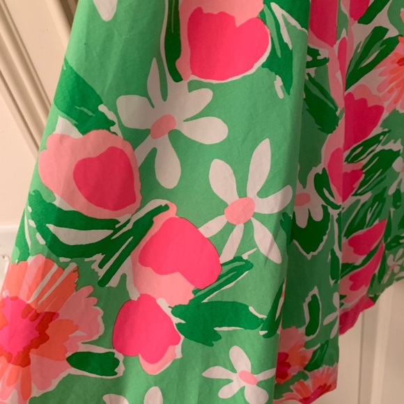 Lilly Pulitzer dress - Picture 4 of 8